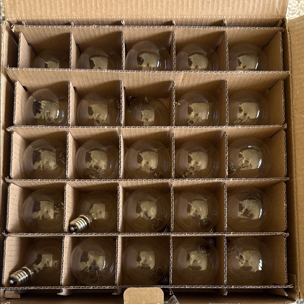 Set of 24 Brown Light Bulbs